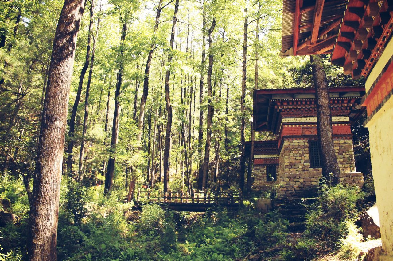 About Peaceful forest scene with traditional Bhutanese architecture in Trongsa.